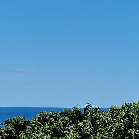 Joli T2 En Bas De Villa Vue Jardin Et Mer Vieux-Habitants Esterno foto